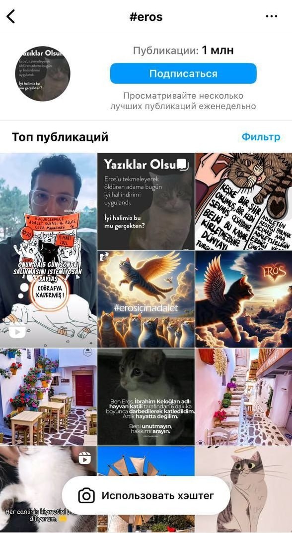 Вся Турция обсуждает дело кота Эроса, которого убил местный житель.