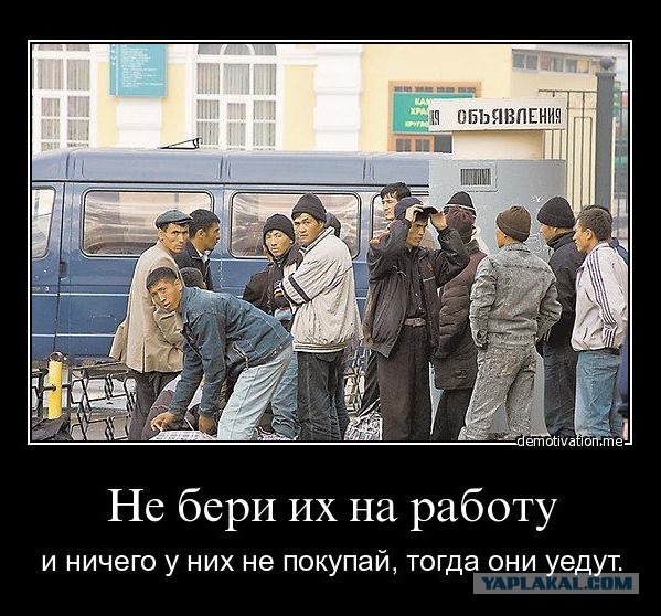 Проверка 4500 машин на въездах в Петербург обернулась уголовными делами