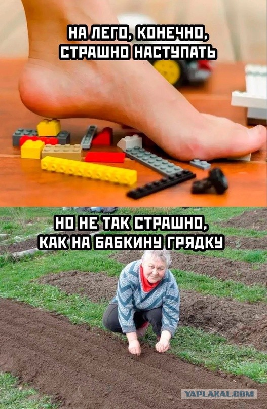 Весёлый полтишок 22.04.24