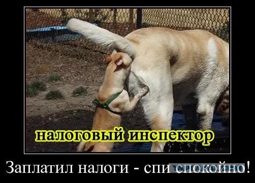 «До 200 рублей за сутки с одного человека»