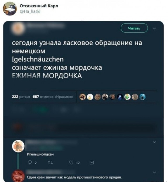 Так себе картинки 07.08.24