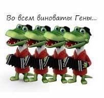 Комар носа не подточит