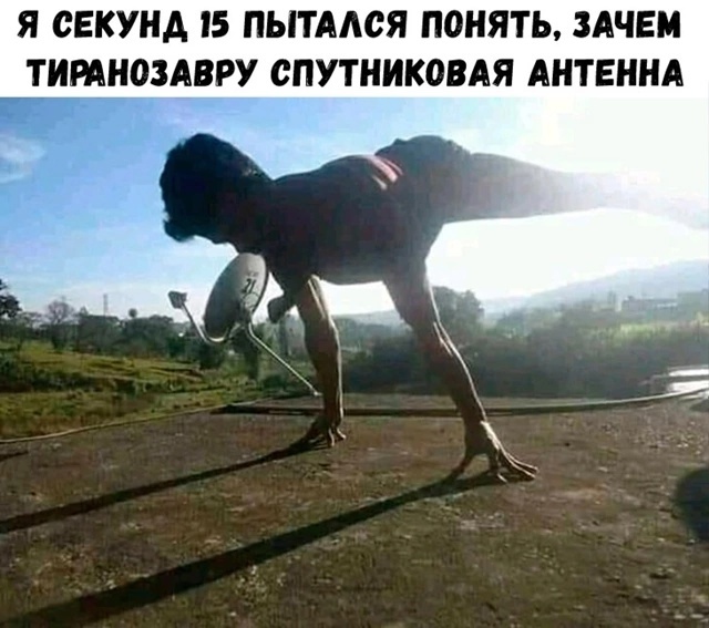 Так себе картинки 25.10.24