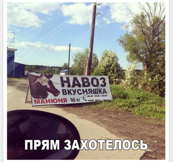 Забавные картинки, шутки из этих ваших интернетов