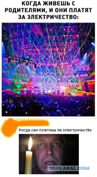 Последние забавные картинки перед любимым понедельником