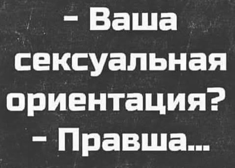 19813395.jpg