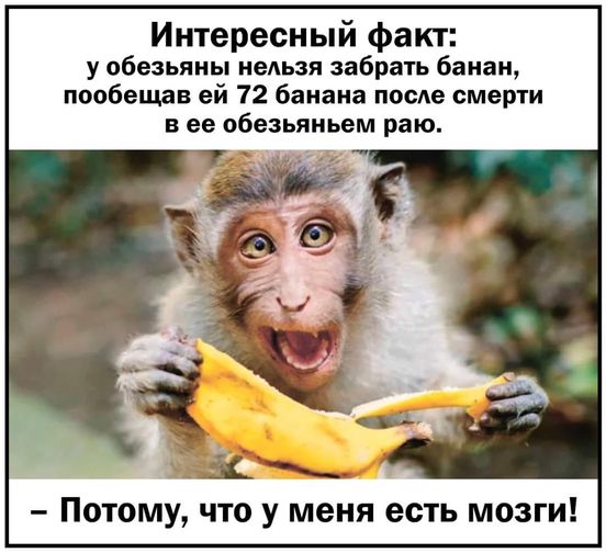 Сброс балласта. Картинки