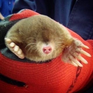 Прикольные и просто красивые картинки 04.04.2025