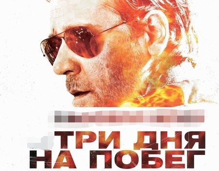 Пауки на нашей даче