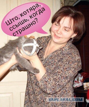 Подарок другу на ДР. Переносилка для котов