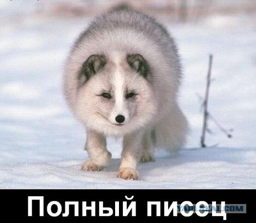 Прямой удар молнии в провода ...