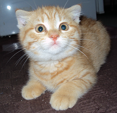 Моей банде сегодня год!