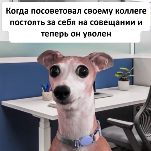 Картиночки, баянчики 01 августа