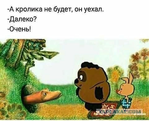 Об опасности и цитатах.
