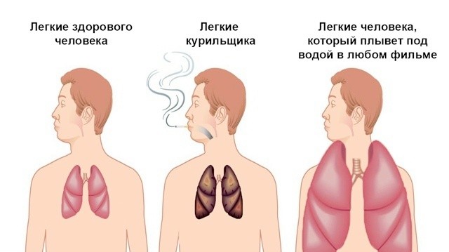 Веселое настроение в картинках 10.08.26