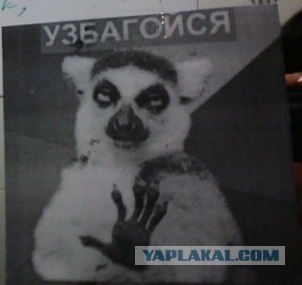 Сколько лет ей дадите?