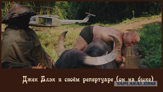 Молодое зеркало
