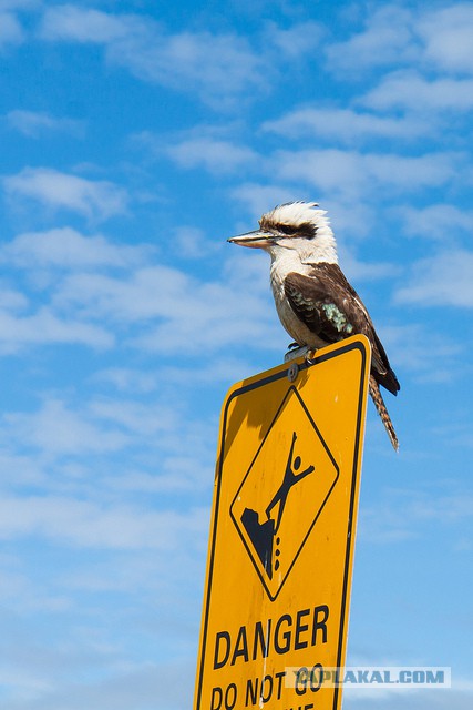 Австралия: Сидней и его окрестности