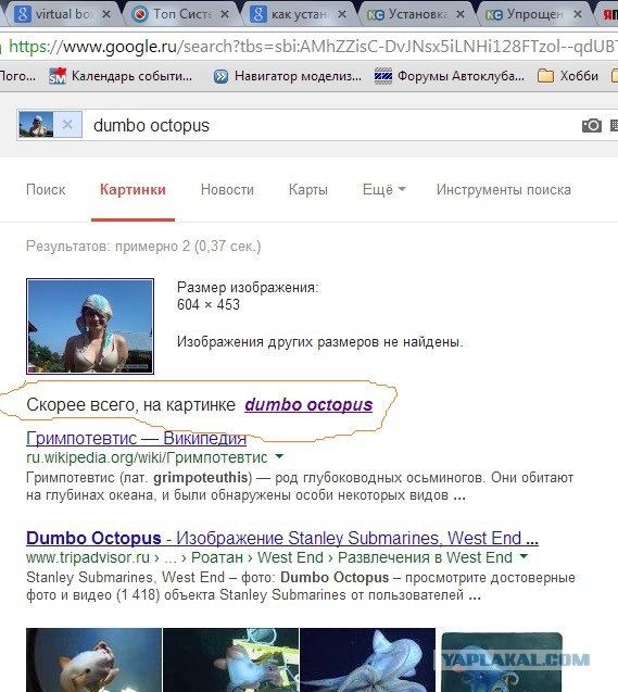 Ищу мужа