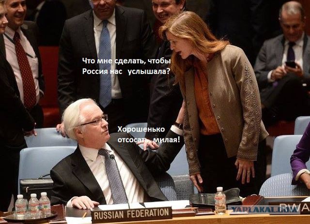 Вы кот