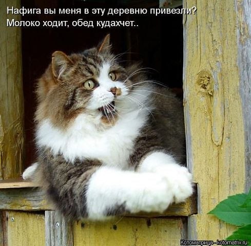 Капля позитива