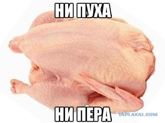 Смешные комментарии из социальных сетей.