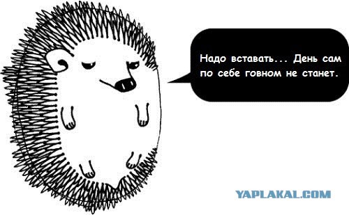 День – ПЕРДень!