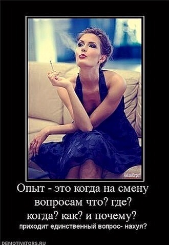 Злой у меня двор