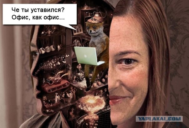 Джен Псаки нашла в Ростовской области горы