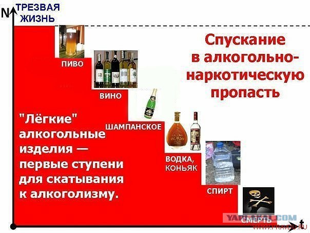 Употребление алкоголя: от Руси до России