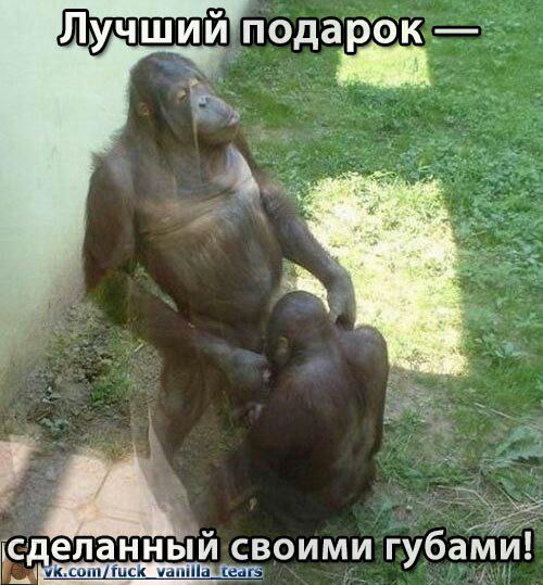 Немного картинок и юмора