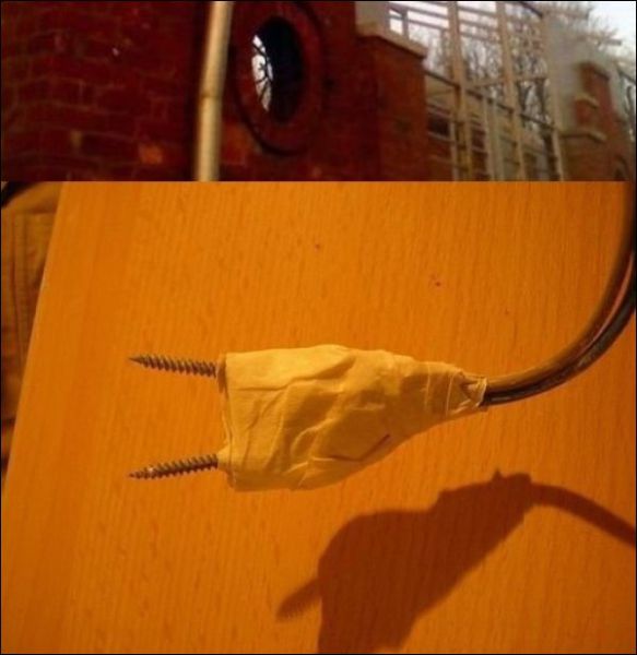 Весёлые картинки