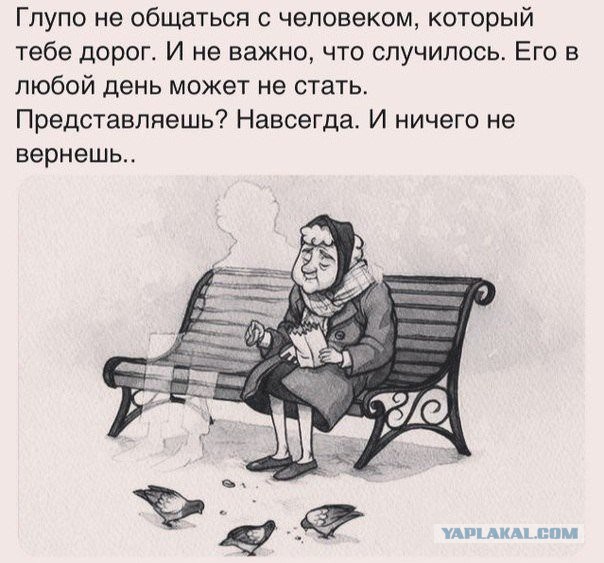 Весёлое из сети