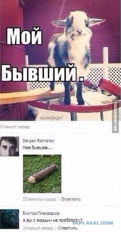 Смешные комментарии из социальных сетей