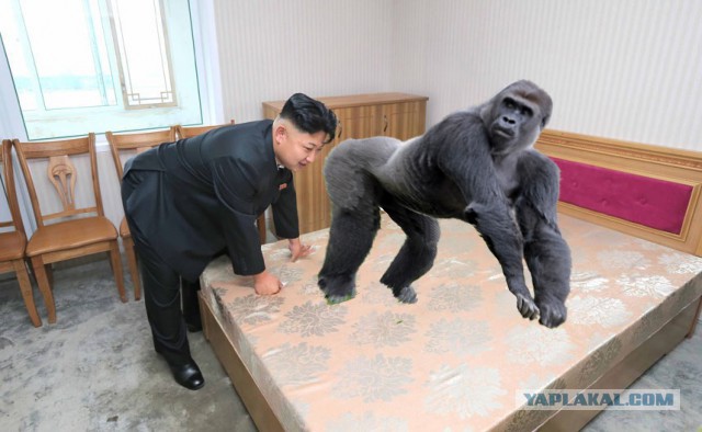 Фотожабы: Наклонившийся Ким