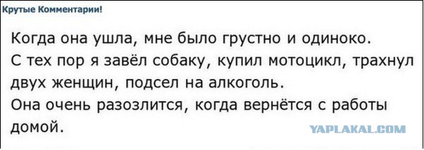 Смешные комментарии из социальных сетей 26.08.15
