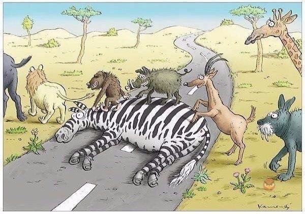 Ужасы и приколы из соцсетей 18+