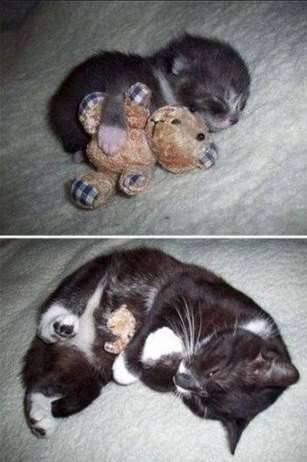 Подборка картинок 01.03.16