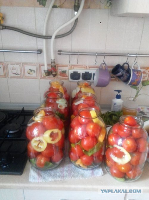 Самое ЯПовское видео