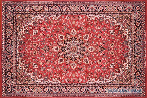 Представительницы домашнего гламура