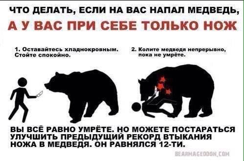 Медведь считает своими родителями супругов, которые спасли ему жизнь в детстве