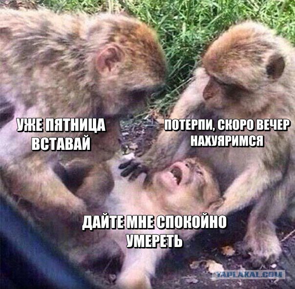 Соцсети - и смех и грех