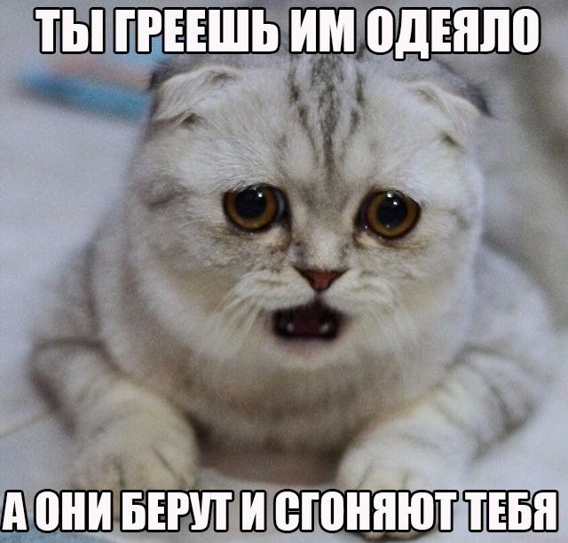 Подборка фот из этих Ваших интернетов