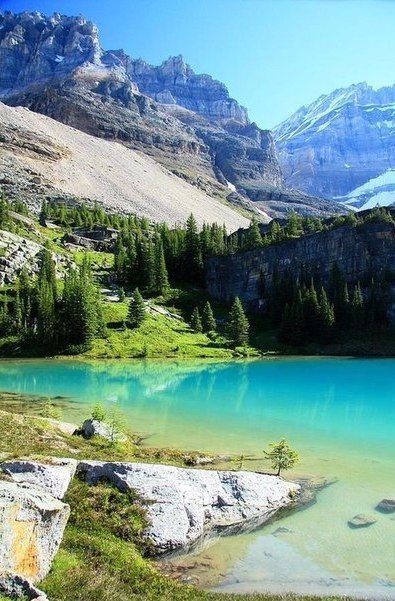 Моменты, запечатлённые на фото и просто позитив 5