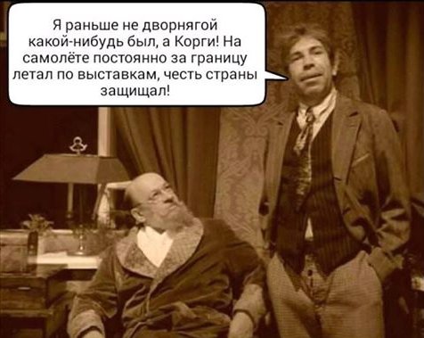 Смешные картинки