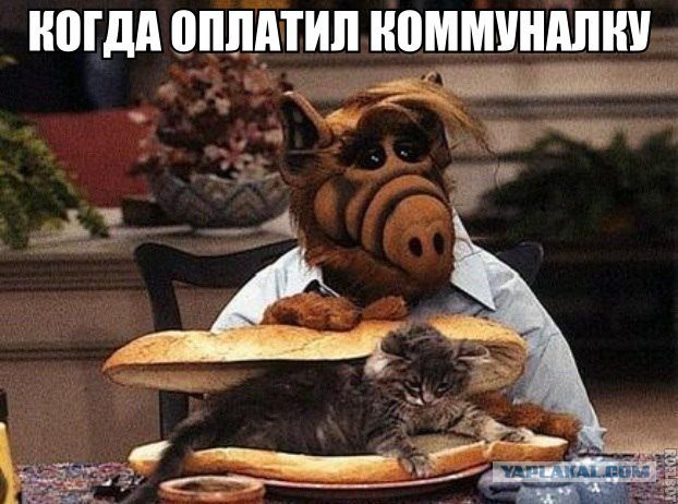 Откуда у свидомых хохлов привычка по любому случаю становиться на колени?