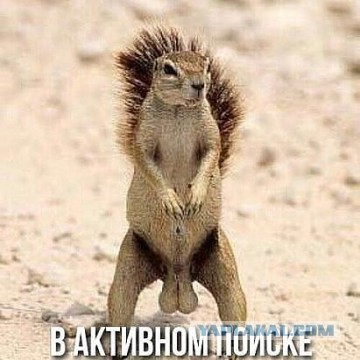 Как живем? Брак или сожительство