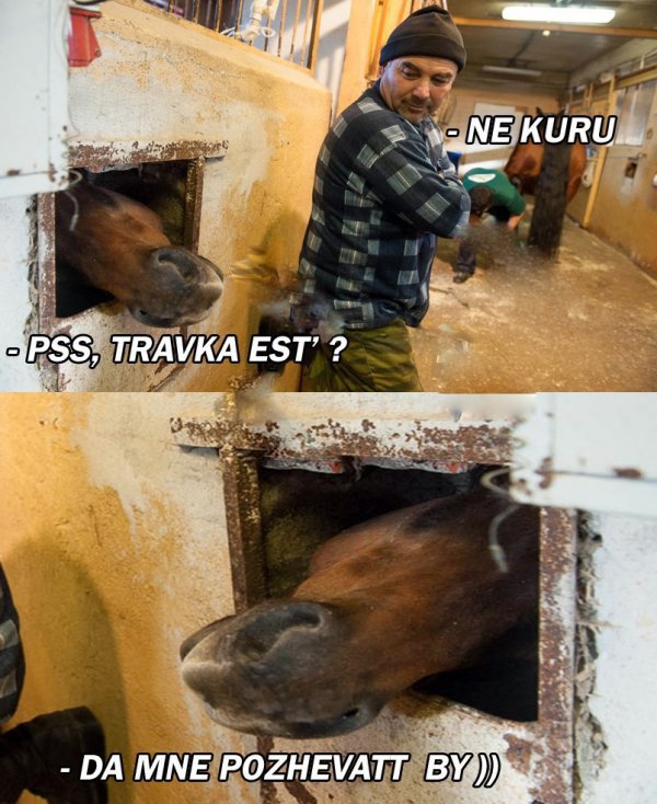Приколы в стиле "регресс"