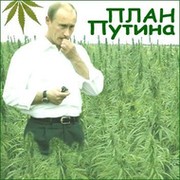 Путин подписал закон о лишении военных пособий за непрохождение теста на наркотики