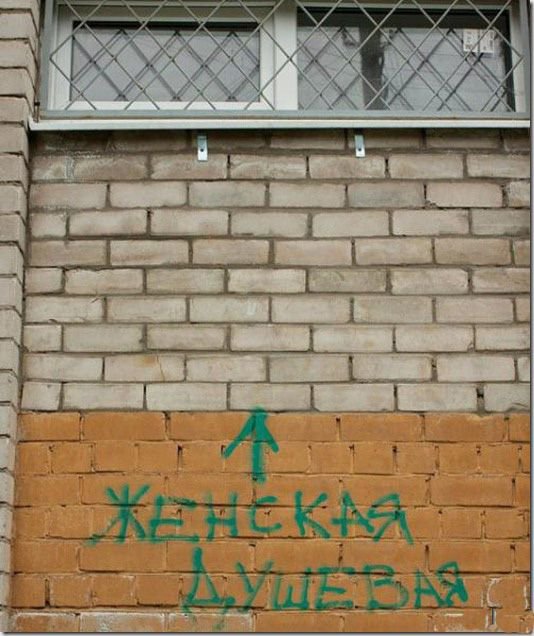 Картинки всякие для поднятия настроения!